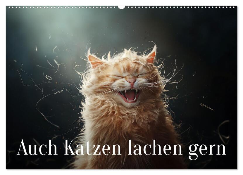 Auch Katzen lachen gern (Wandkalender 2026 DIN A2 quer) CALVENDO Monatskalender