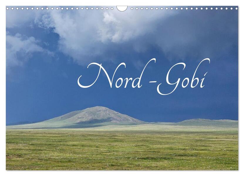 Nord-Gobi (Wandkalender 2026 DIN A3 quer) CALVENDO Monatskalender