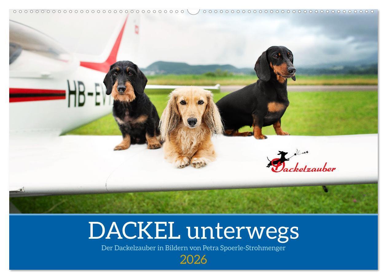 Dackel unterwegs (Wandkalender 2026 DIN A2 quer) CALVENDO Monatskalender