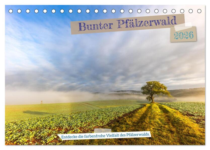 Bunter Pfälzerwald (Tischkalender 2026 DIN A5 quer) CALVENDO Monatskalender