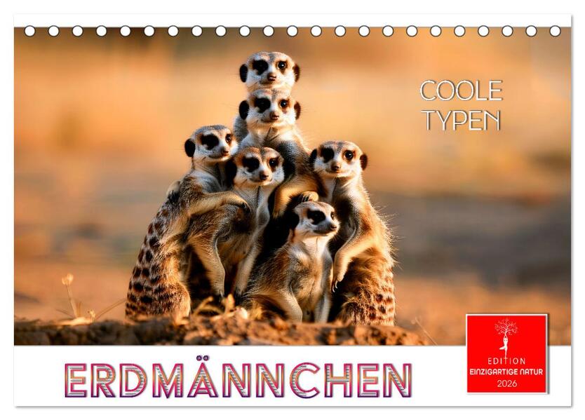 Erdmännchen - coole Typen (Tischkalender 2026 DIN A5 quer) CALVENDO Monatskalender