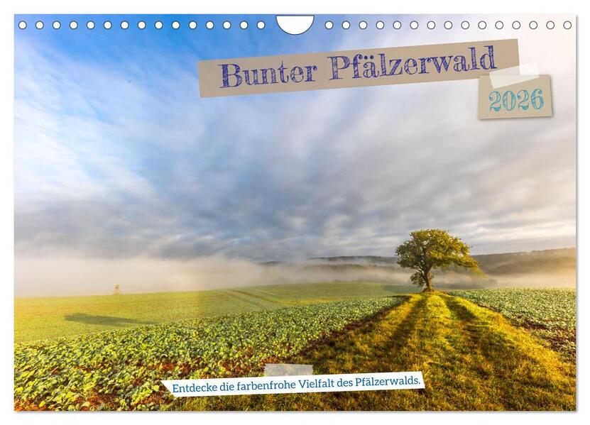 Bunter Pfälzerwald (Wandkalender 2026 DIN A4 quer) CALVENDO Monatskalender
