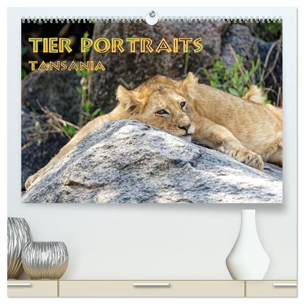 Tier Portraits Tansania (hochwertiger Premium Wandkalender 2026 DIN A2 quer) Kunstdruck in Hochglanz