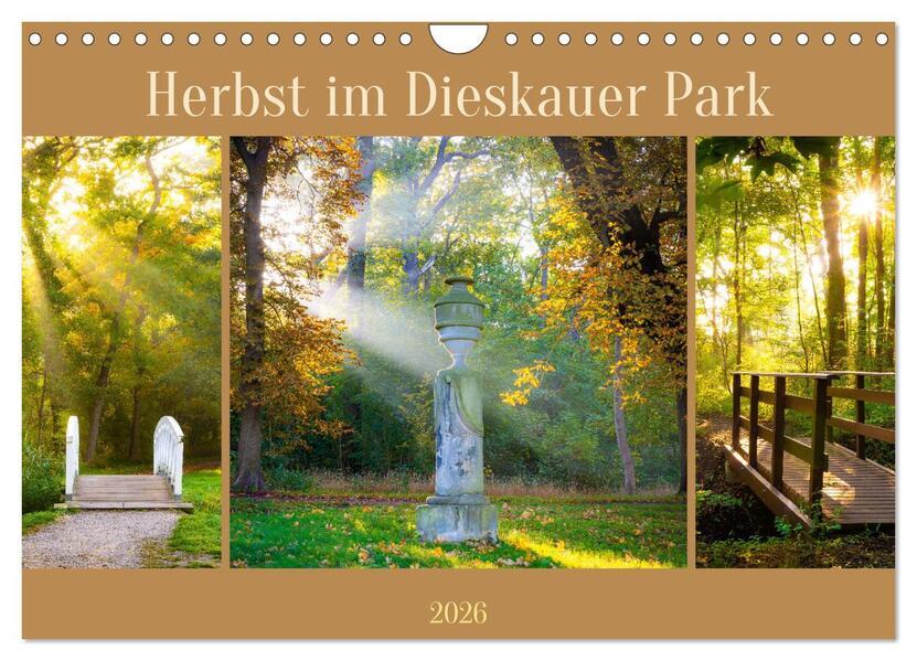 Herbst im Dieskauer Park (Wandkalender 2026 DIN A4 quer) CALVENDO Monatskalender