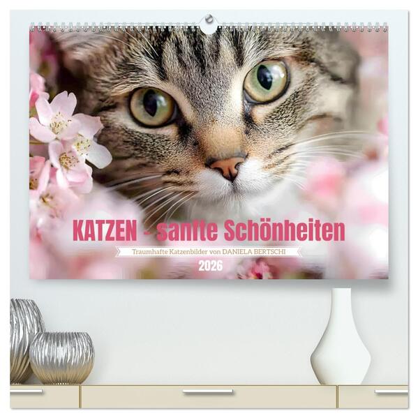 Katzen - sanfte Schönheiten (hochwertiger Premium Wandkalender 2026 DIN A2 quer) Kunstdruck in Hochglanz