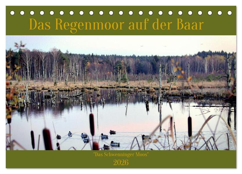 Das Regenmoor auf der Baar (Tischkalender 2026 DIN A5 quer) CALVENDO Monatskalender
