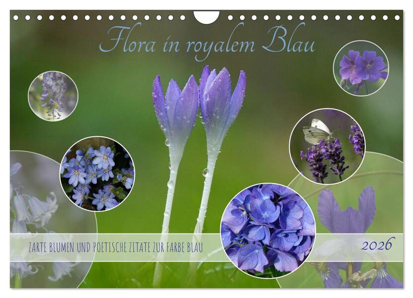 Flora in royalem Blau (Wandkalender 2026 DIN A4 quer) CALVENDO Monatskalender