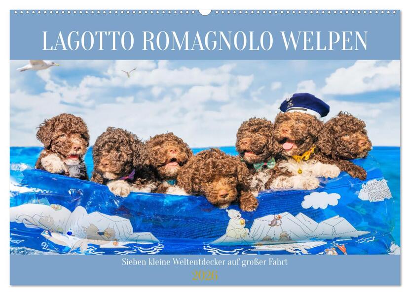 Lagotto Romagnolo Welpen - Sieben kleine Weltentdecker auf großer Fahrt (Wandkalender 2026 DIN A2 quer) CALVENDO Monatskalender