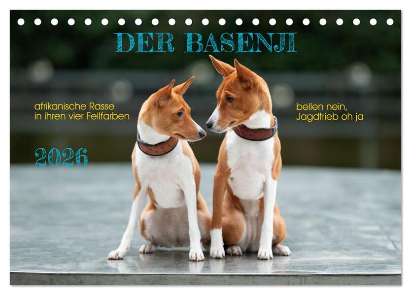 Der Basenji (Tischkalender 2026 DIN A5 quer) CALVENDO Monatskalender