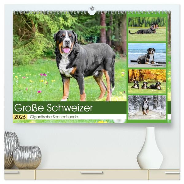 Große Schweizer - Gigantische Sennenhunde (hochwertiger Premium Wandkalender 2026 DIN A2 quer) Kunstdruck in Hochglanz