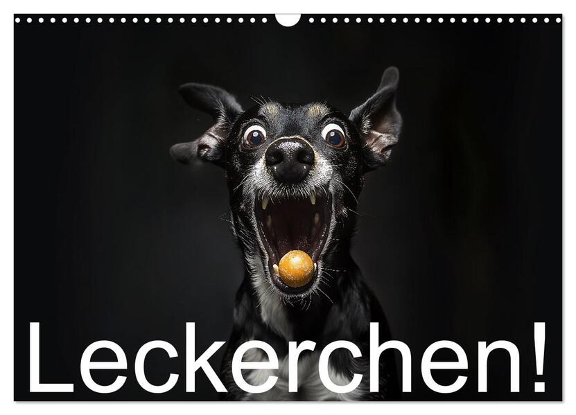 Leckerchen! (Wandkalender 2026 DIN A3 quer) CALVENDO Monatskalender