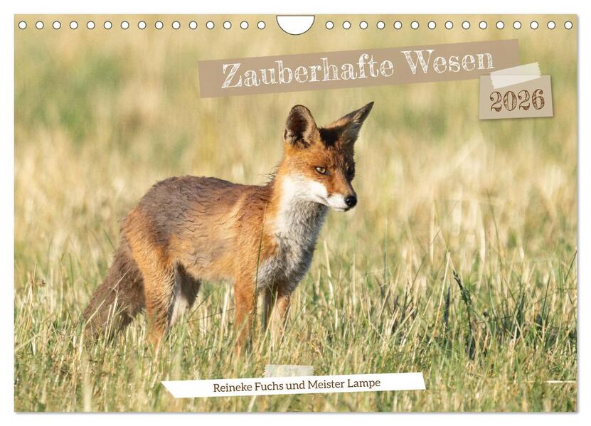 Zauberhafte Wesen - Reineke Fuchs und Meister Lampe (Wandkalender 2026 DIN A4 quer) CALVENDO Monatskalender