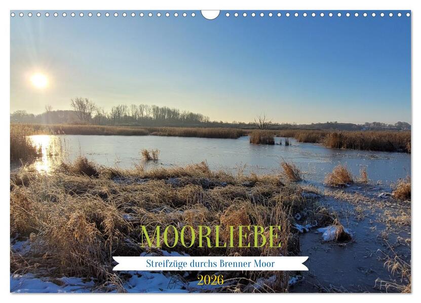 Moorträume - Naturschönheit in Bildern (Wandkalender 2026 DIN A3 quer) CALVENDO Monatskalender