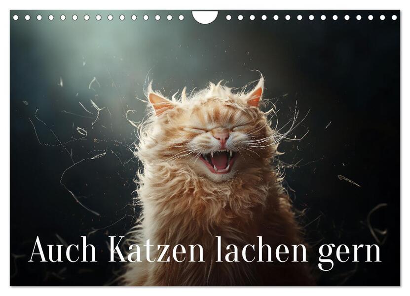 Auch Katzen lachen gern (Wandkalender 2026 DIN A4 quer) CALVENDO Monatskalender