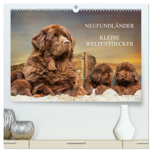 Neufundländer - Kleine Weltentdecker (hochwertiger Premium Wandkalender 2026 DIN A2 quer) Kunstdruck in Hochglanz