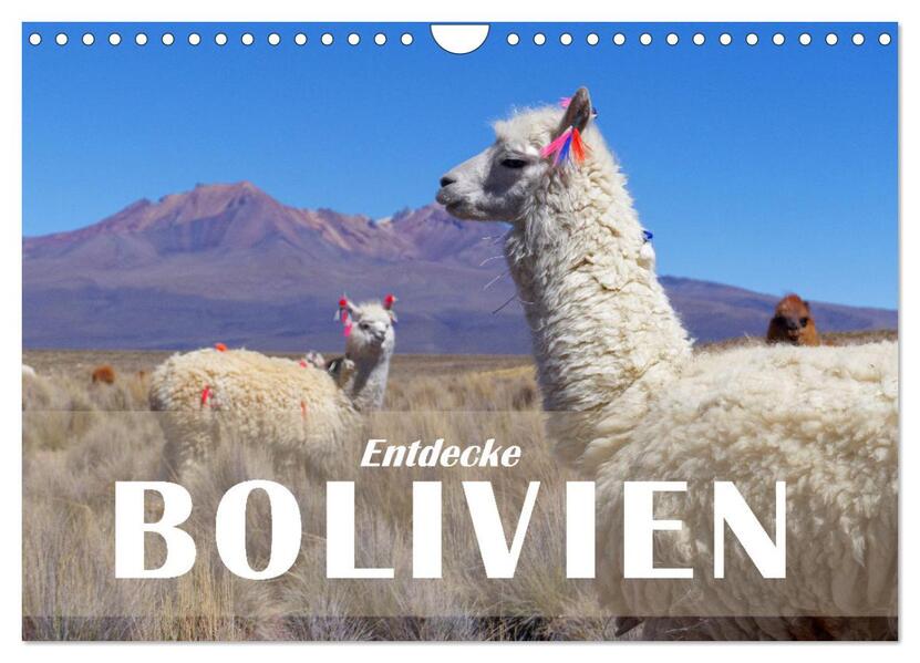 Entdecke Bolivien (Wandkalender 2026 DIN A4 quer) CALVENDO Monatskalender