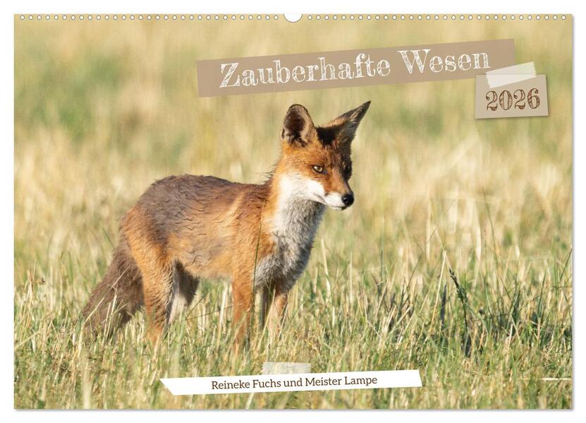 Zauberhafte Wesen - Reineke Fuchs und Meister Lampe (Wandkalender 2026 DIN A2 quer) CALVENDO Monatskalender