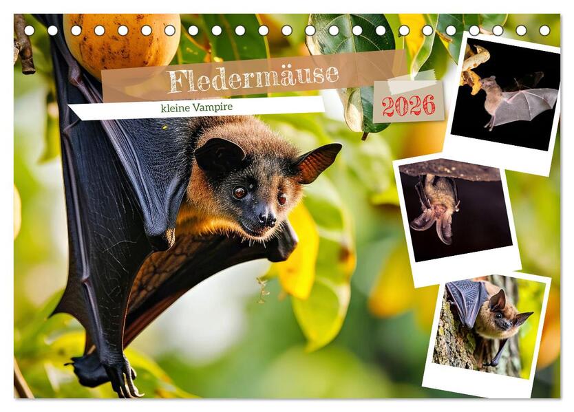Fledermäuse - kleine Vampire (Tischkalender 2026 DIN A5 quer) CALVENDO Monatskalender