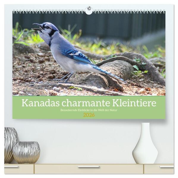 Kanadas charmante Kleintiere - Bezaubernde Einblicke in die Natur (hochwertiger Premium Wandkalender 2026 DIN A2 quer) Kunstdruck in Hochglanz