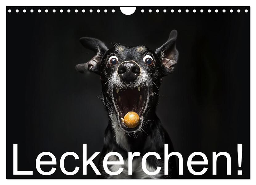 Leckerchen! (Wandkalender 2026 DIN A4 quer) CALVENDO Monatskalender