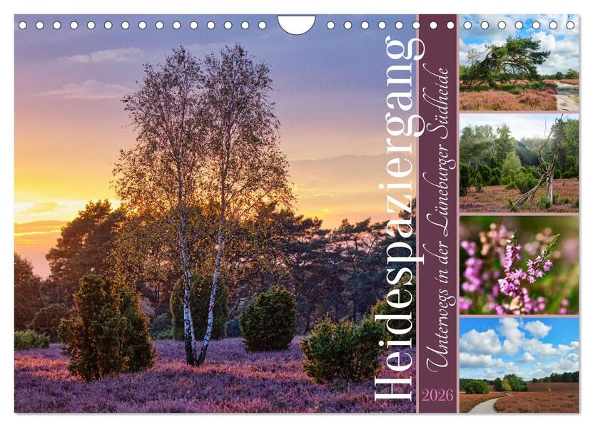 Heidespaziergang (Wandkalender 2026 DIN A4 quer) CALVENDO Monatskalender