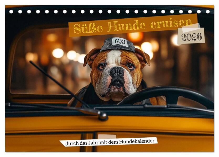 Süße Hunde cruisen - durch das Jahr mit dem Hundekalender (Tischkalender 2026 DIN A5 quer) CALVENDO Monatskalender