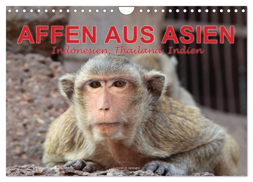 AFFEN AUS ASIEN Indonesien Thailand Indien (Wandkalender 2026 DIN A4 quer) CALVENDO Monatskalender
