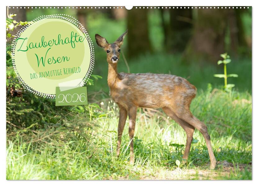 Zauberhafte Wesen - anmutiges Rehwild (Wandkalender 2026 DIN A2 quer) CALVENDO Monatskalender