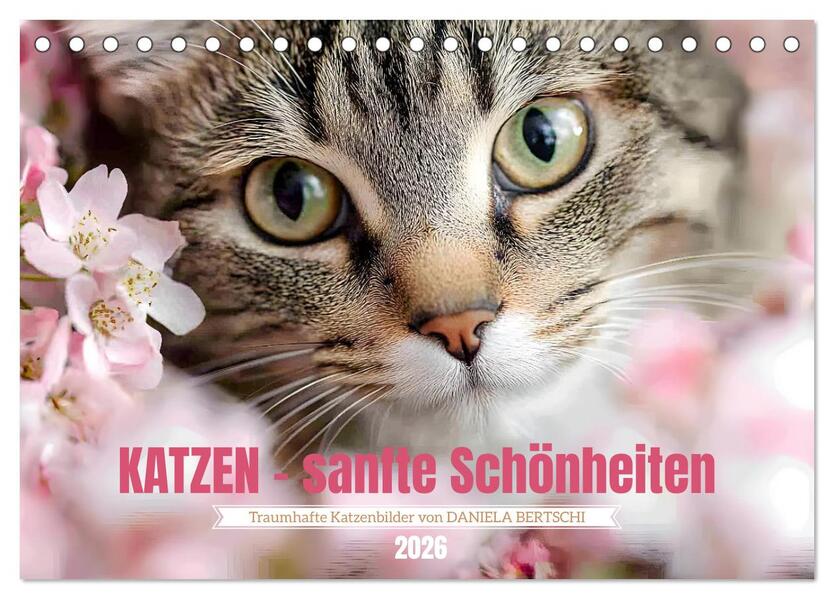 Katzen - sanfte Schönheiten (Tischkalender 2026 DIN A5 quer) CALVENDO Monatskalender