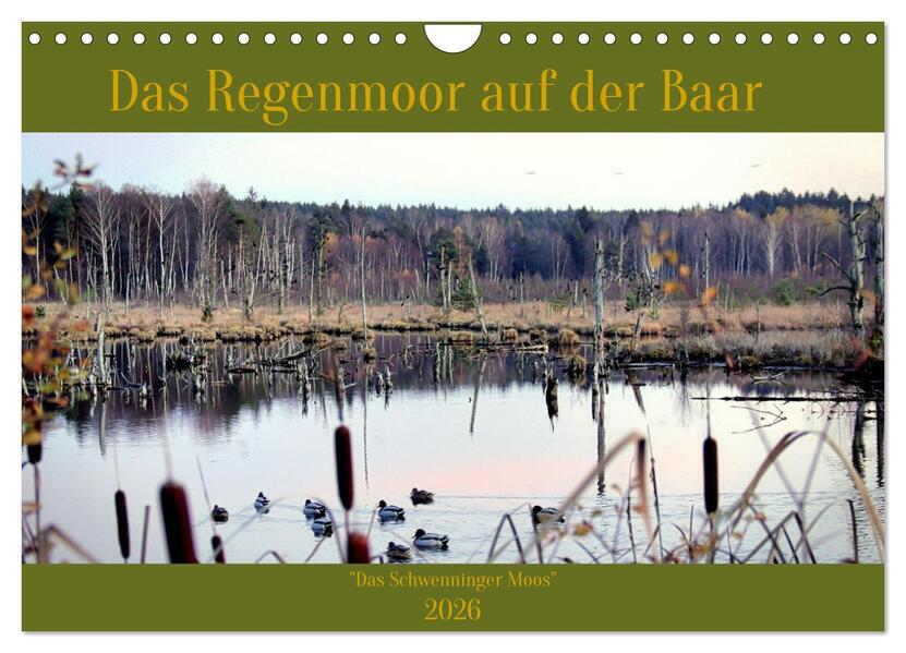 Das Regenmoor auf der Baar (Wandkalender 2026 DIN A4 quer) CALVENDO Monatskalender