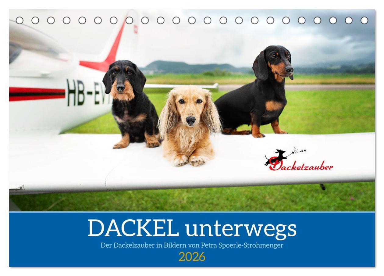 Dackel unterwegs (Tischkalender 2026 DIN A5 quer) CALVENDO Monatskalender