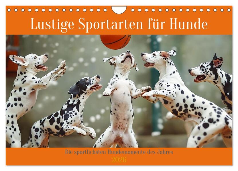 Lustige Sportarten für Hunde (Wandkalender 2026 DIN A4 quer) CALVENDO Monatskalender