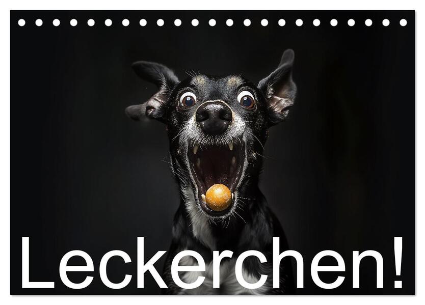 Leckerchen! (Tischkalender 2026 DIN A5 quer) CALVENDO Monatskalender