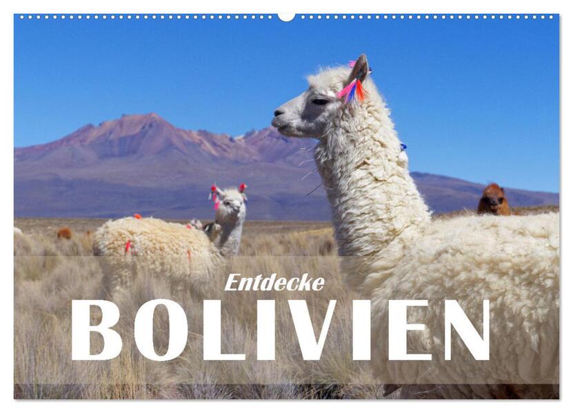 Entdecke Bolivien (Wandkalender 2026 DIN A2 quer) CALVENDO Monatskalender
