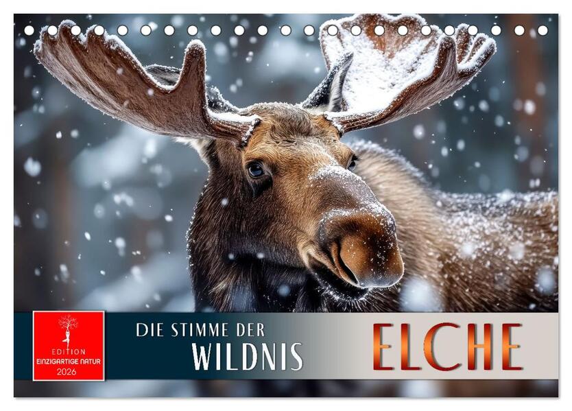Elche - die Stimme der Wildnis (Tischkalender 2026 DIN A5 quer) CALVENDO Monatskalender
