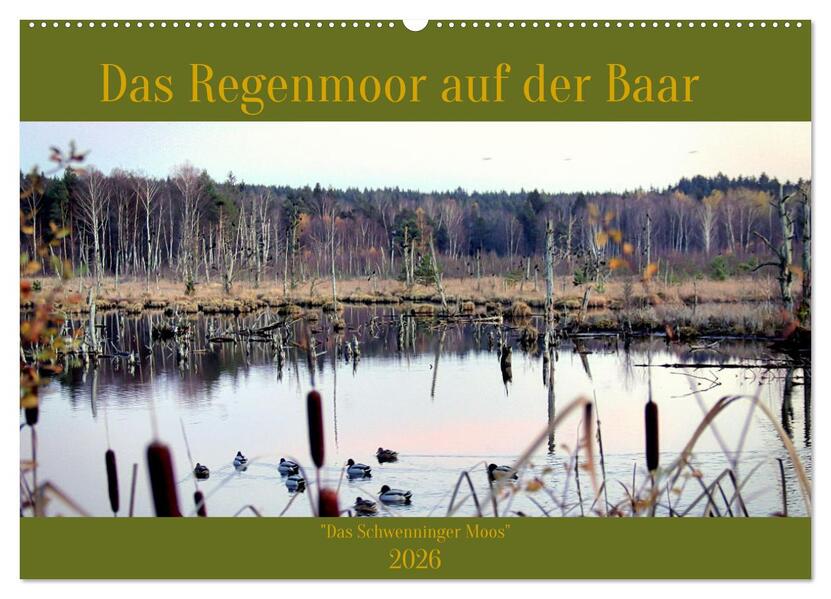Das Regenmoor auf der Baar (Wandkalender 2026 DIN A2 quer) CALVENDO Monatskalender