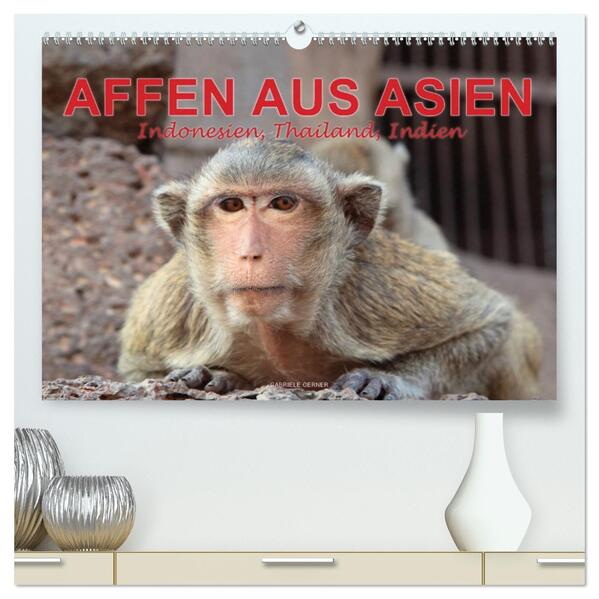 AFFEN AUS ASIEN Indonesien Thailand Indien (hochwertiger Premium Wandkalender 2026 DIN A2 quer) Kunstdruck in Hochglanz