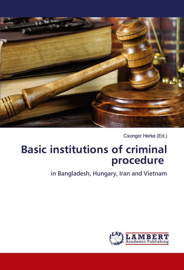 Basic institutions of criminal procedure