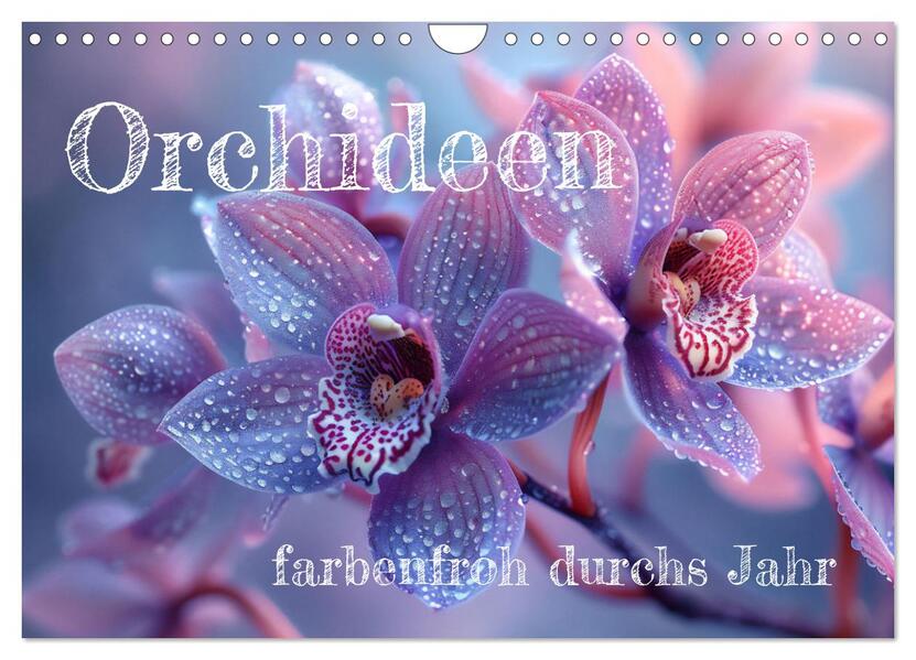 Orchideen - farbenfroh durchs Jahr (Wandkalender 2026 DIN A4 quer) CALVENDO Monatskalender