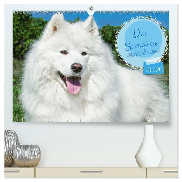Der Samojede - Schönheit des Nordens (hochwertiger Premium Wandkalender 2026 DIN A2 quer) Kunstdruck in Hochglanz