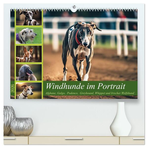 Windhunde im Portrait (hochwertiger Premium Wandkalender 2026 DIN A2 quer) Kunstdruck in Hochglanz