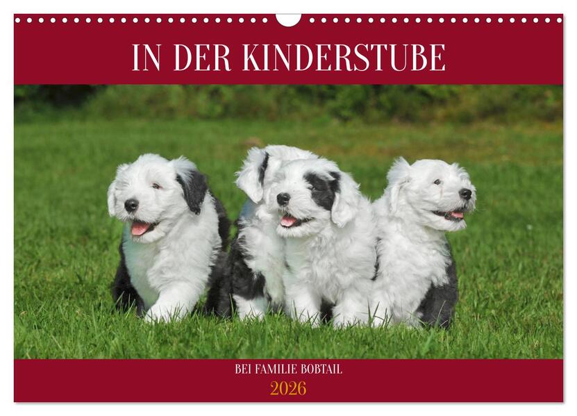 In der Kinderstube bei Familie Bobtail (Wandkalender 2026 DIN A3 quer) CALVENDO Monatskalender