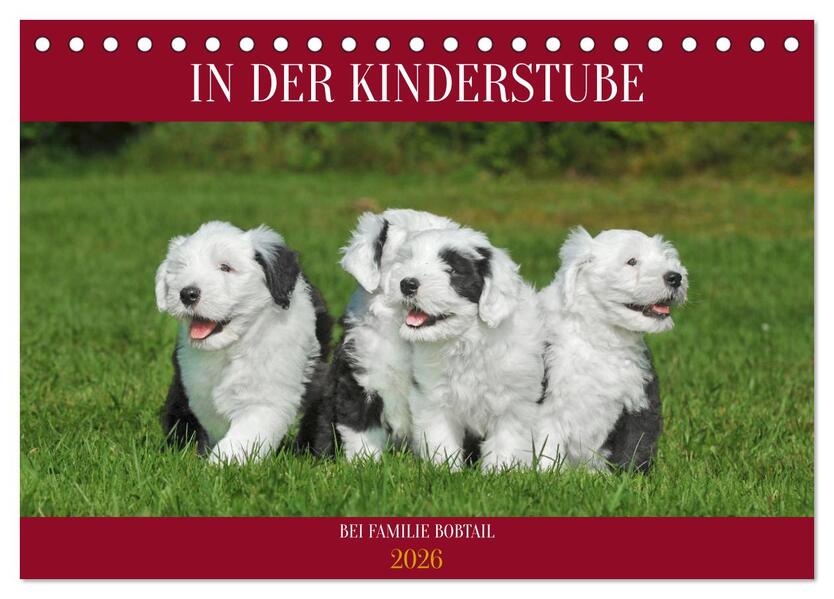 In der Kinderstube bei Familie Bobtail (Tischkalender 2026 DIN A5 quer) CALVENDO Monatskalender