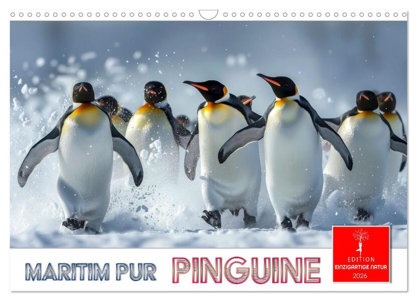 Maritim pur - Pinguine (Wandkalender 2026 DIN A3 quer) CALVENDO Monatskalender