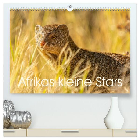 Afrikas kleine Stars (hochwertiger Premium Wandkalender 2026 DIN A2 quer) Kunstdruck in Hochglanz