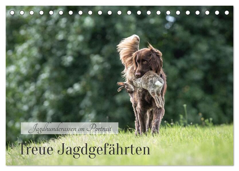 Treue Jagdgefährten - Jagdhunderassen im Portrait (Tischkalender 2026 DIN A5 quer) CALVENDO Monatskalender