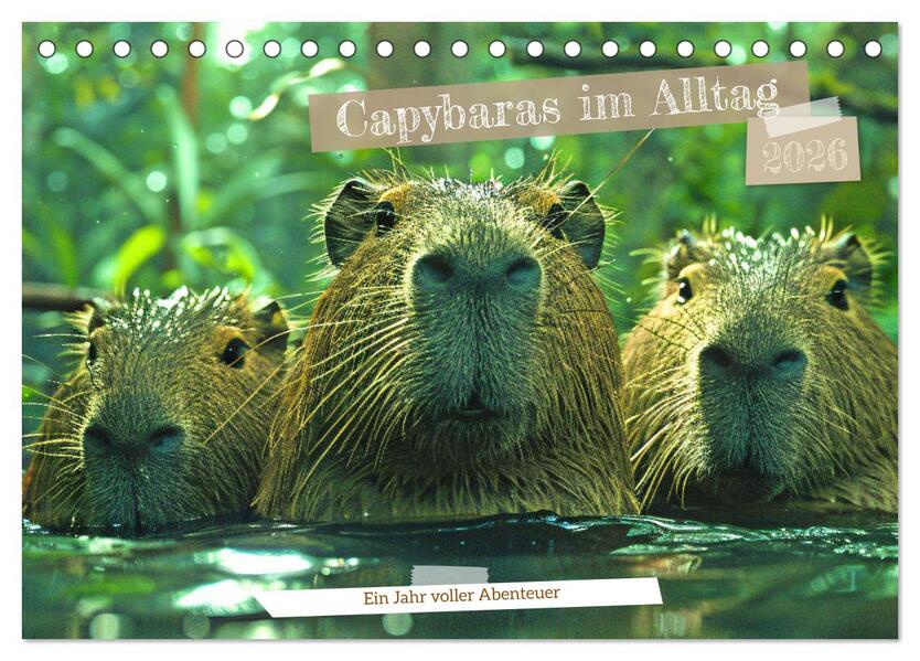 Capybaras im Alltag - Ein Jahr voller Abenteuer (Tischkalender 2026 DIN A5 quer) CALVENDO Monatskalender