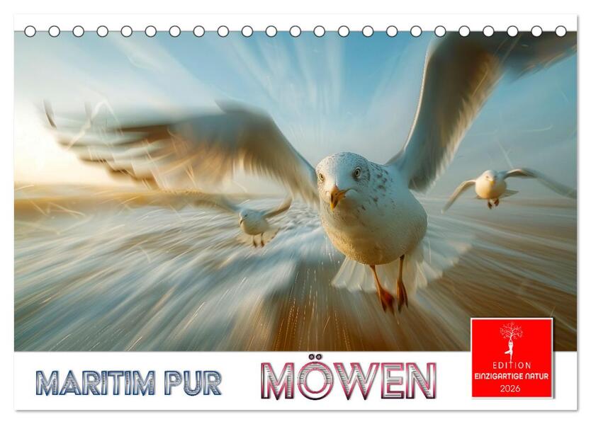 Maritim pur - Möwen (Tischkalender 2026 DIN A5 quer) CALVENDO Monatskalender