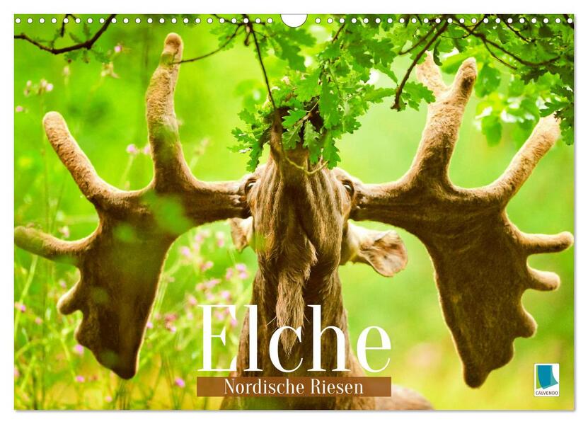 Elche: Nordische Riesen (Wandkalender 2026 DIN A3 quer) CALVENDO Monatskalender