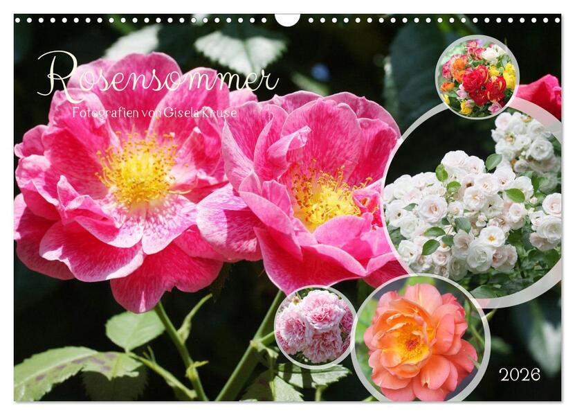 Rosensommer (Wandkalender 2026 DIN A3 quer) CALVENDO Monatskalender